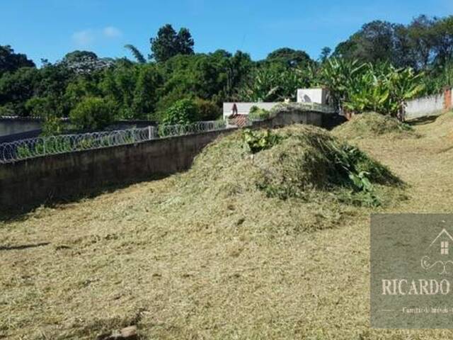 #545 - Área para Venda em Mogi das Cruzes - SP - 3